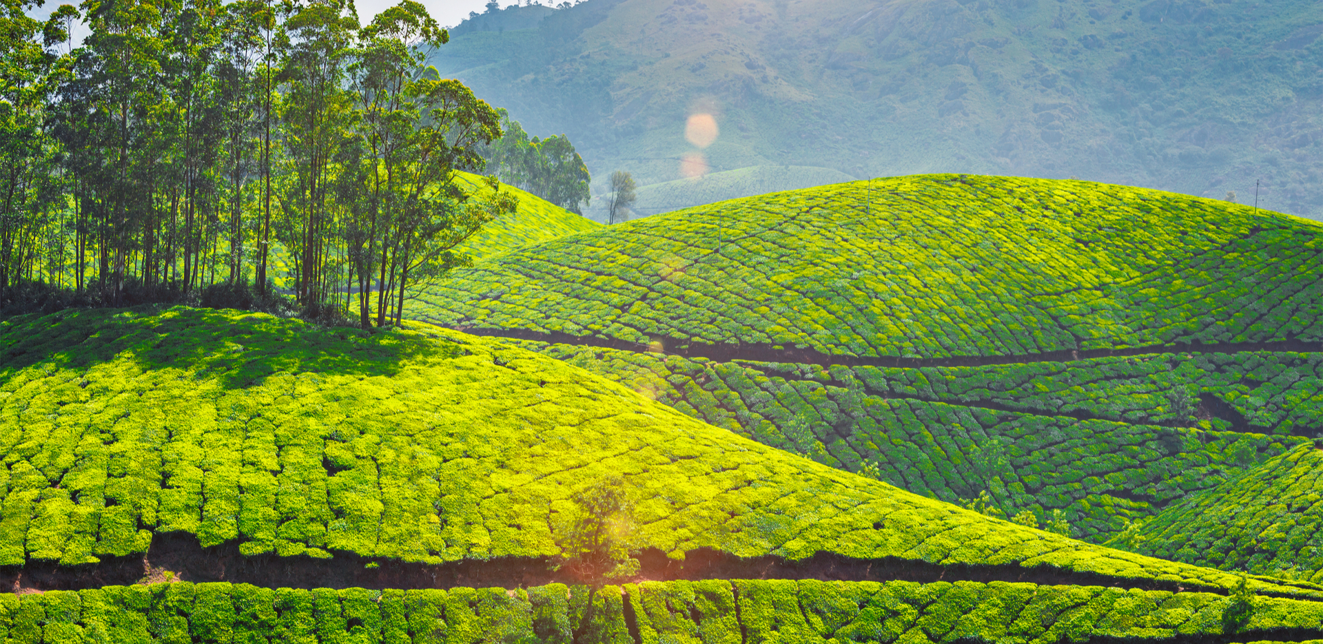 Cheap holiday packages